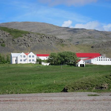 Brekka I Loni Farm Stay Stafafell Exteriér fotografie