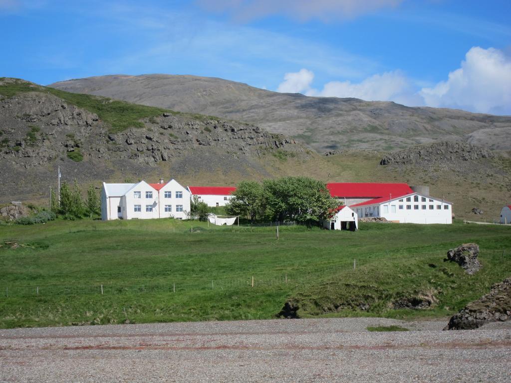 Brekka I Loni Farm Stay Stafafell Exteriér fotografie